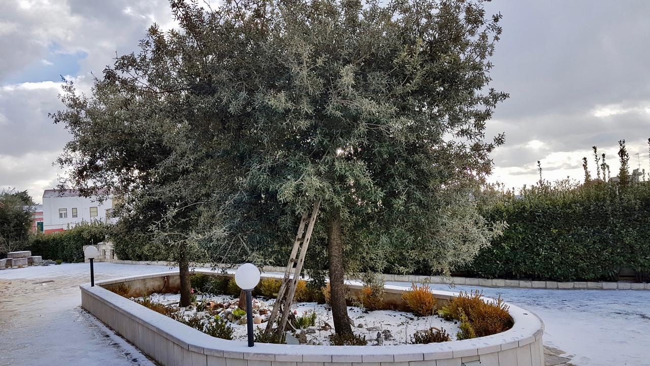 Villa Wonder Alberobello Buitenkant foto